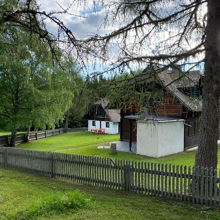 Ferienhaus Waldtraum Sankt Veit an der Glan Exterior photo
