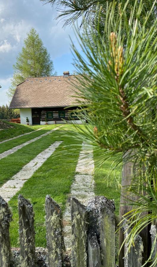 Ferienhaus Waldtraum Sankt Veit an der Glan Exterior photo